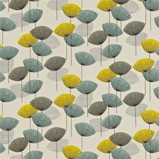 Sanderson dandelion clocks - dandelion,