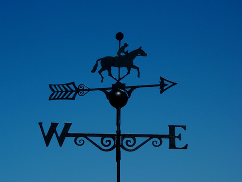 Poppy forge winning - forge, horse