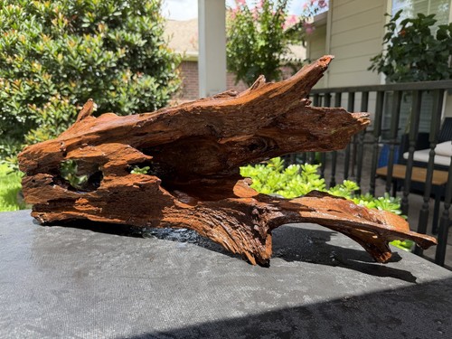 Driftwood malaysian aquariums - malaysian,