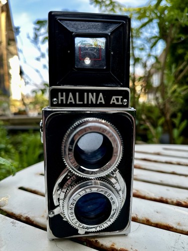 Halina tlr 120mm film - halina,