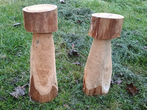 Mushroom carvings little