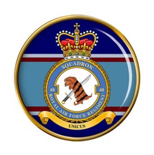 RAF Regiment 48 Squadron Pin