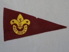 Boy Scouts Senior Scout