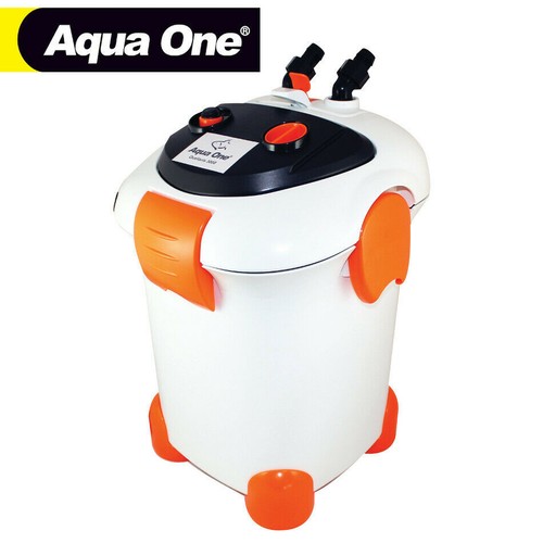 Aquarium fish tank - fish,