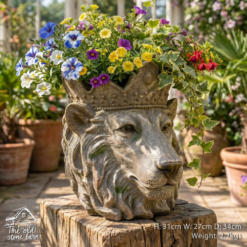 Large crowned lion king - lion,