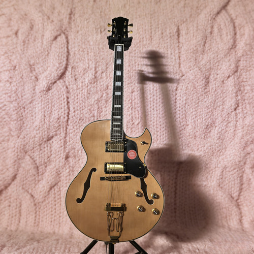Semi hollow body - semi, electric
