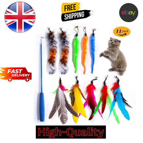 11pcs kitten toy cat feather - 11pcs,