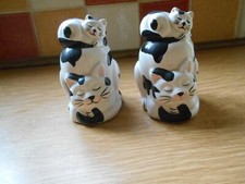 Collectable Black/White Cat