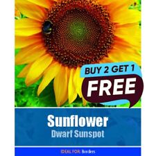Sunflower Dwarf Sunspot - 23 Flower Seeds Garden Plant Pots Tubs Baskets