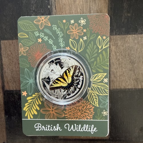 Swallowtail butterfly - swallowtail,