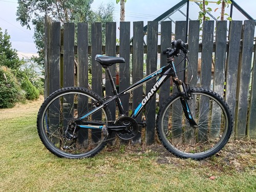 Giant boys bike - ,