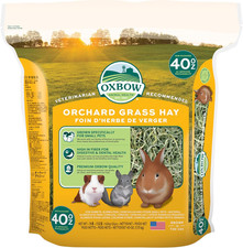 Oxbow Orchard Grass Hay for