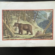 Antique Hand Colored 1807