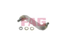 FAG 818 0081 10 Rod/Strut