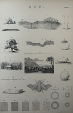 Antique Print Dew Formation