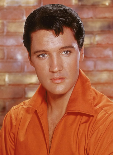 Large elvis presley poster - large,