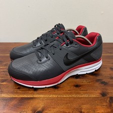 Nike pegasus air - pegasus, zoom