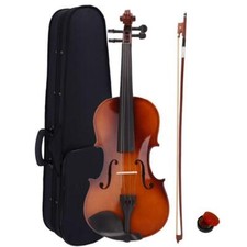 Christmas Gift Acoustic Violin