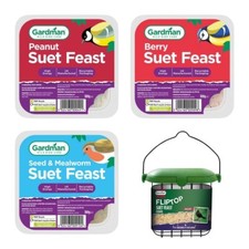 Gardman Wild Bird Suet Feasts