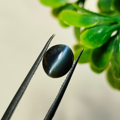 Natural alexandrite - 1.69,