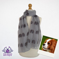 CAVALIER KING CHARLES SPANIEL