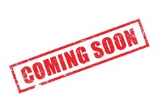 Surly Disc Trucker 60cm GRX