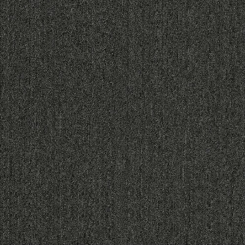 Anthracite grey carpet - anthracite,
