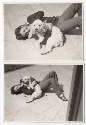 Photo anonymous prints dog - photo,