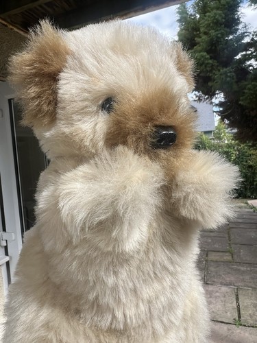 Super cute teddy bear - cute,
