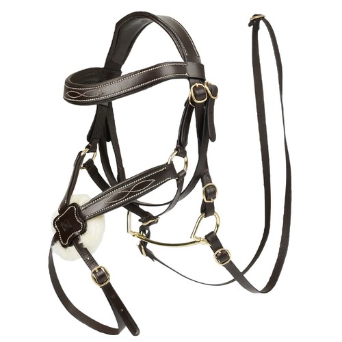 Lemieux hobby horse grackle - hobby,