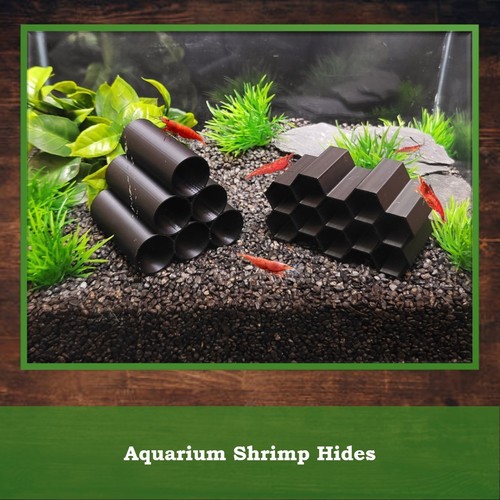 Aquarium shrimp hide fry - shrimp,