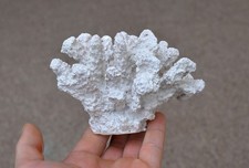 Artificial Coral Ornament