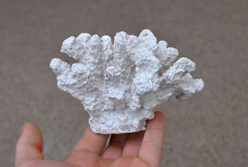 Artificial coral ornament - artificial,