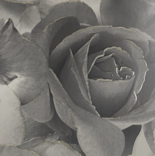 Black grey rose floral bloom - black,