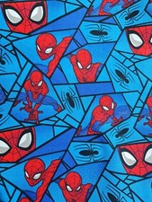 Spider Man Marvel DC Comics