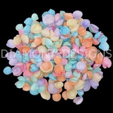 Pastel dyed cockle seashells - cockle,