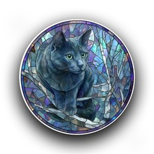 Russian blue cat kitten - blue,