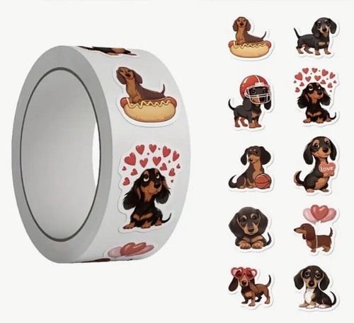 Adorable dachshund puppy - x,