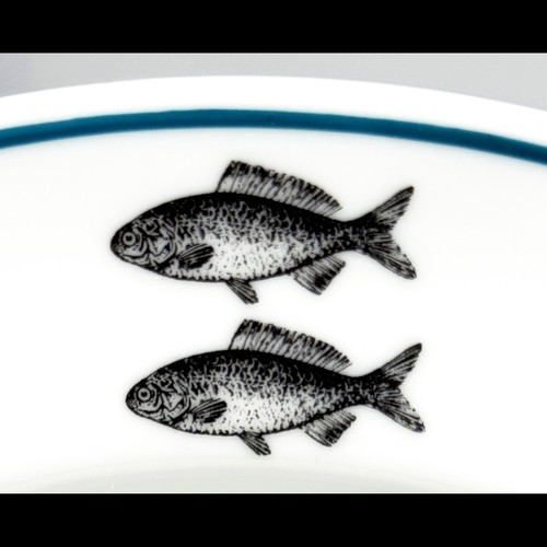 Fish dishes habitat 2 - by, --
