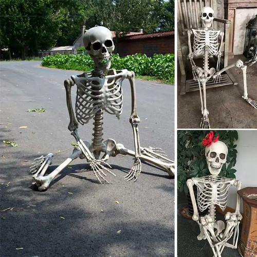 170cm poseable skeleton - 170cm,