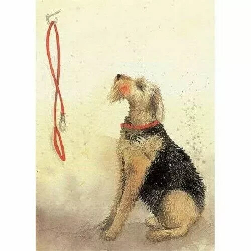 Funny dog card alex - card, clark