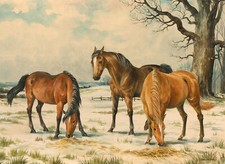 Frances Fry - Contemporary