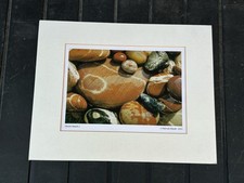 Artwork Patrick Elliott Pebbles Stone Item Curios 2003 Piece Collectable
