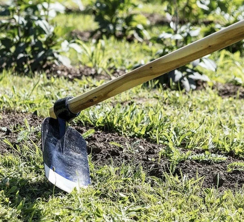 Traditional full size digging - traditional,