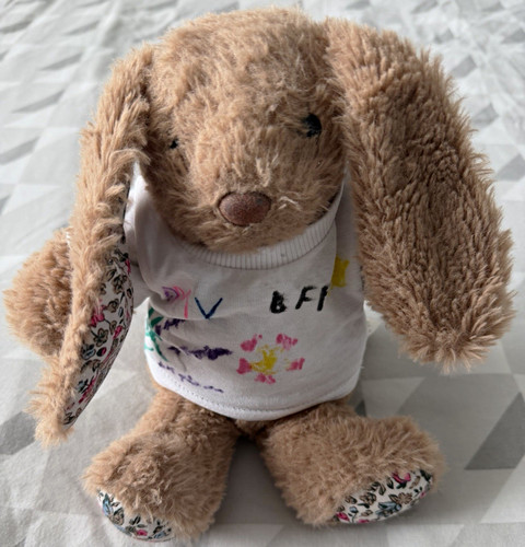 Teddy mountain small plush - teddy,