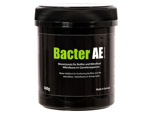 Glasgarten bacter ae - -,