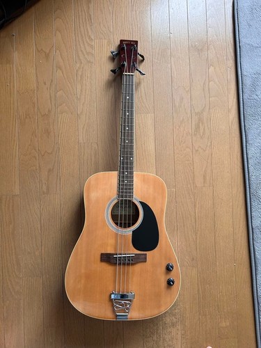 Electric acoustic bass custom - acoustic,