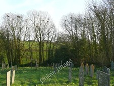 Photo 12x8 A rookery, Shebbear