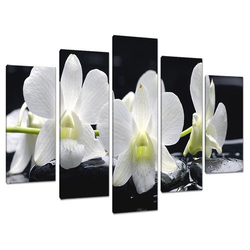 Set panel black white - set, 5