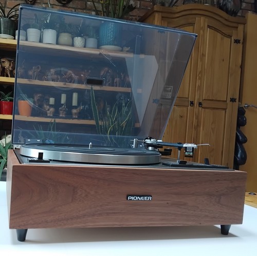 Revitalized pioneer 12d - revitalized,